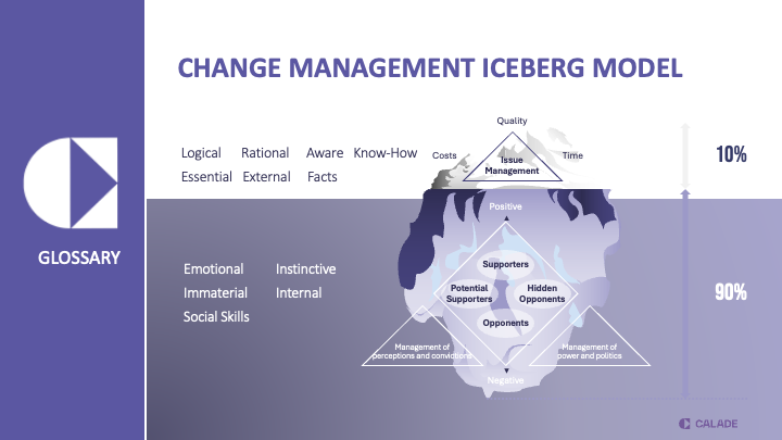 Iceberg Model 