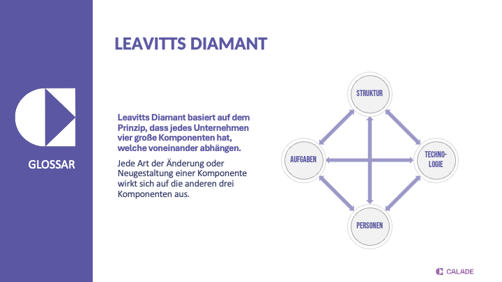 Leavitts Diamant: Struktur, Aufgaben, Technologie und Personen beeinflussen sich gegenseitig